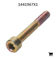 AGCO 1441967X1 Винт с внутренним шестигранником