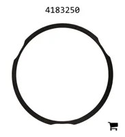 AGCO 4183250 Кольцо