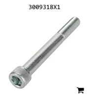 AGCO 3009318X1 Винт с цилиндрической головкой и шестигранным углублением
