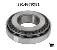 AGCO 3014079X91 Конический роликовый подшипник задней оси