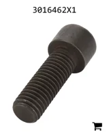 AGCO 3016462X1 Винт с цилиндрической головкой и шестигранным углублением
