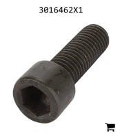 AGCO 3016462X1 Винт с цилиндрической головкой и шестигранным углублением