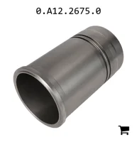 AGCO 0.A12.2675.0 Цилиндр