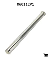 AGCO 060112P1 Палец