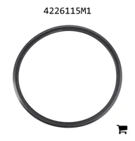 AGCO 4226115M1 Уплотнительное кольцо