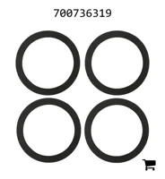 AGCO 700736319 Комплект регулировочных шайб