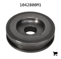 AGCO 1042800M1 Поршневой цилиндр