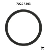 AGCO 70277303 Шайба