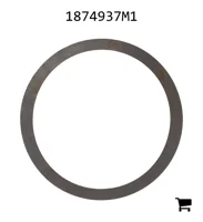 AGCO 1874937M1 Шайба