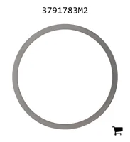 AGCO 3791783M2 Шайба