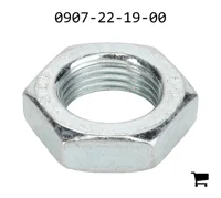 AGCO 0907-22-19-00 Шестигранная гайка