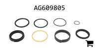 AGCO AG609805 Ремкомплект