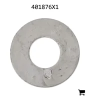 AGCO 401876X1 Плоская шайба