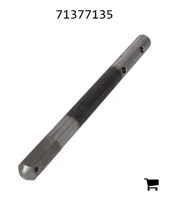 AGCO 71377135 Ось поворота