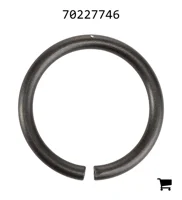 AGCO 70227746 Кольцо