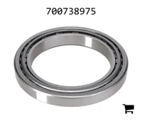 AGCO 700738975 Комплект подшипников