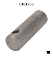 AGCO E101955 Болт