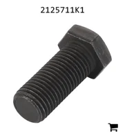 AGCO 2125711K1 Винт