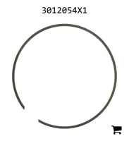 AGCO 3012054X1 Стопорное кольцо