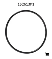 AGCO 152613M1 Уплотнительное кольцо