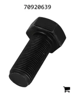 AGCO 70920639 Винт с шестигранной головкой