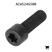 AGCO ACW5246500 Винт с головкой Torx