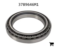 AGCO 3789646M1 Подшипниковый узел