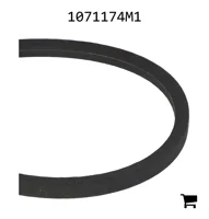 AGCO 1071174M1 Ремень