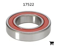 AGCO 17522 Цилиндрический шариковый подшипник