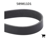 AGCO 509011D1 Ремень привода