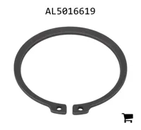 AGCO AL5016619 Кольцо
