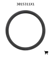 AGCO 3015311X1 Уплотнительное кольцо