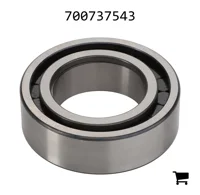 AGCO 700737543 Шариковый подшипник