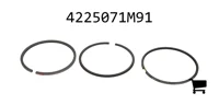 AGCO 4225071M91 Комплект поршневых колец