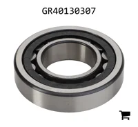 AGCO GR40130307 Подшипник