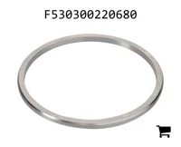 AGCO F530300220680 Шайба