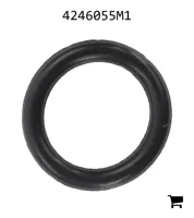 AGCO 4246055M1 Уплотнительное кольцо