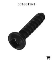 AGCO 3810819M1 Винт