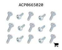 AGCO ACP0665020 Комплект винтов
