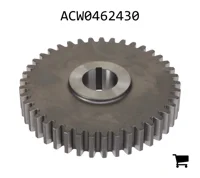 AGCO ACW0462430 Шестерня