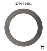 AGCO 3796045M1 Шайба