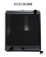 AGCO V33136300 Радиатор с крышкой