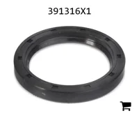 AGCO 391316X1 Радиальное уплотнительное кольцо