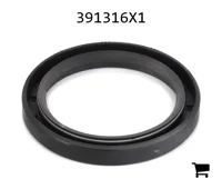 AGCO 391316X1 Радиальное уплотнительное кольцо