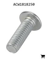 AGCO ACW1818250 Винт с цилиндрической головкой