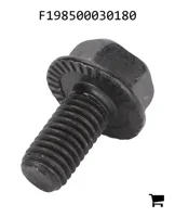 AGCO F198500030180 Винт