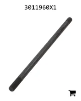 AGCO 3011960X1 Болт