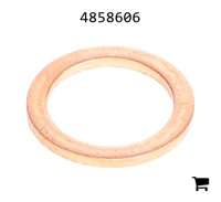 AGCO 4858606 Уплотнение