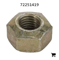AGCO 72251419 Стопорная гайка