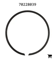 AGCO 70228039 Кольцо
